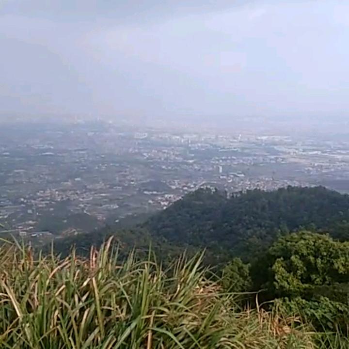 信念