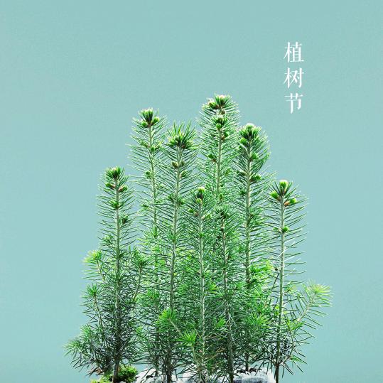 ML.chen