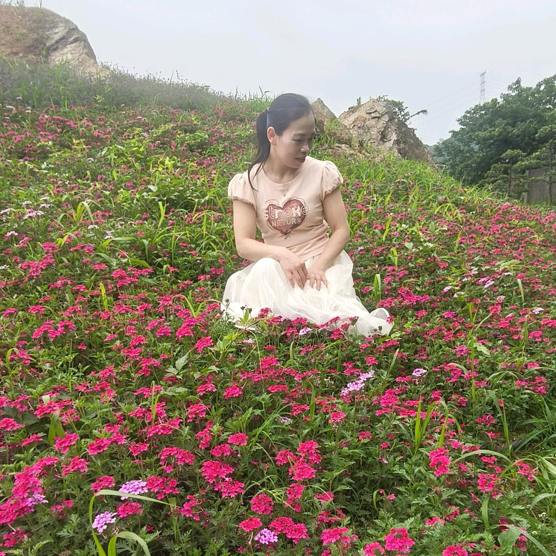 婷雨落雁
