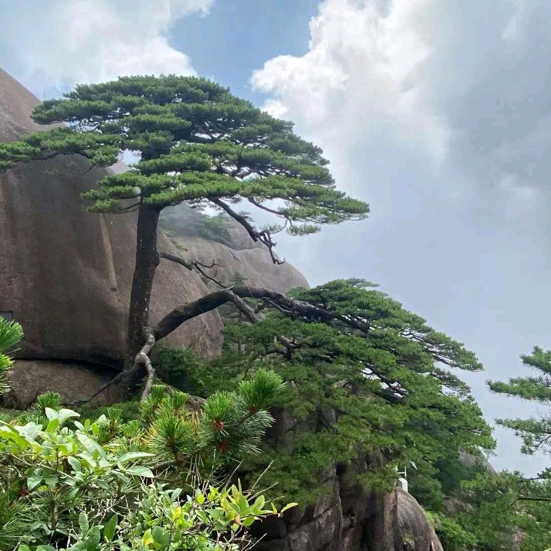 回忆🌹