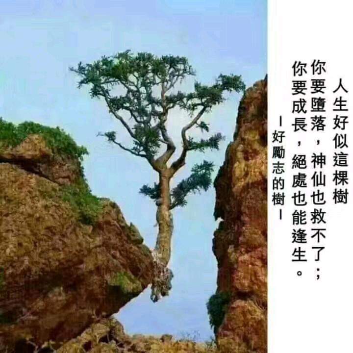 初心@