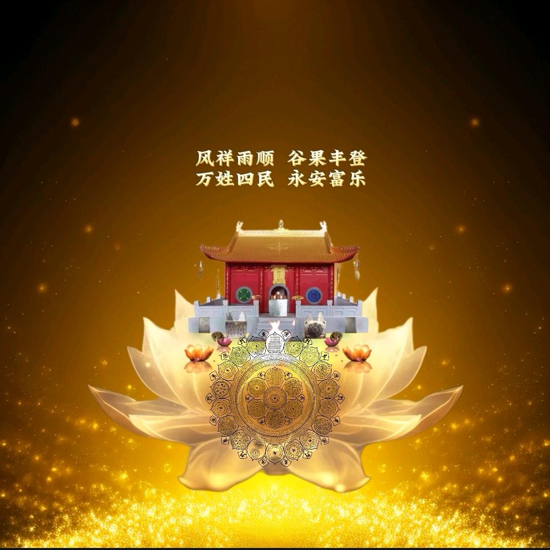 舒弥🙏