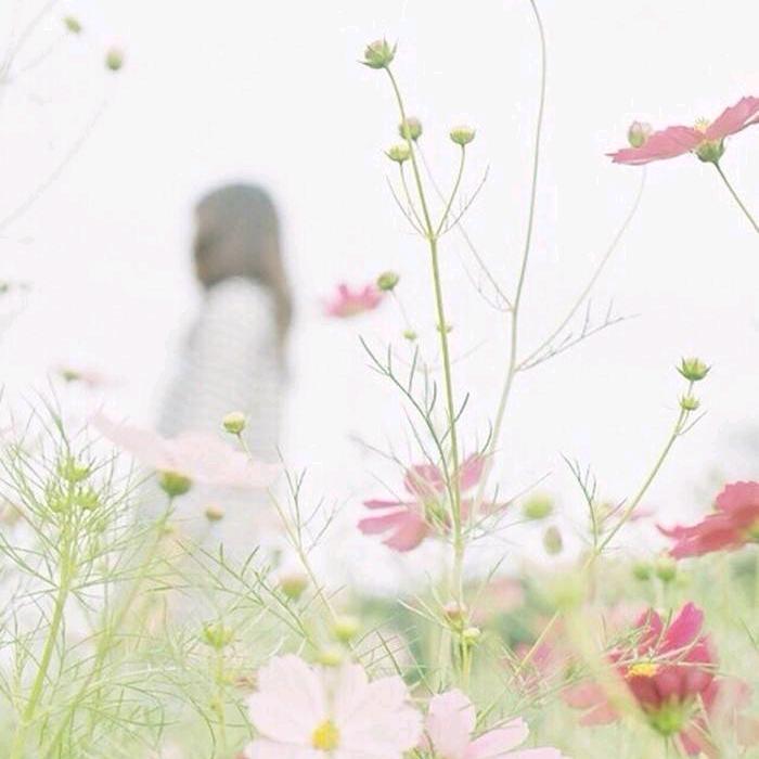 香