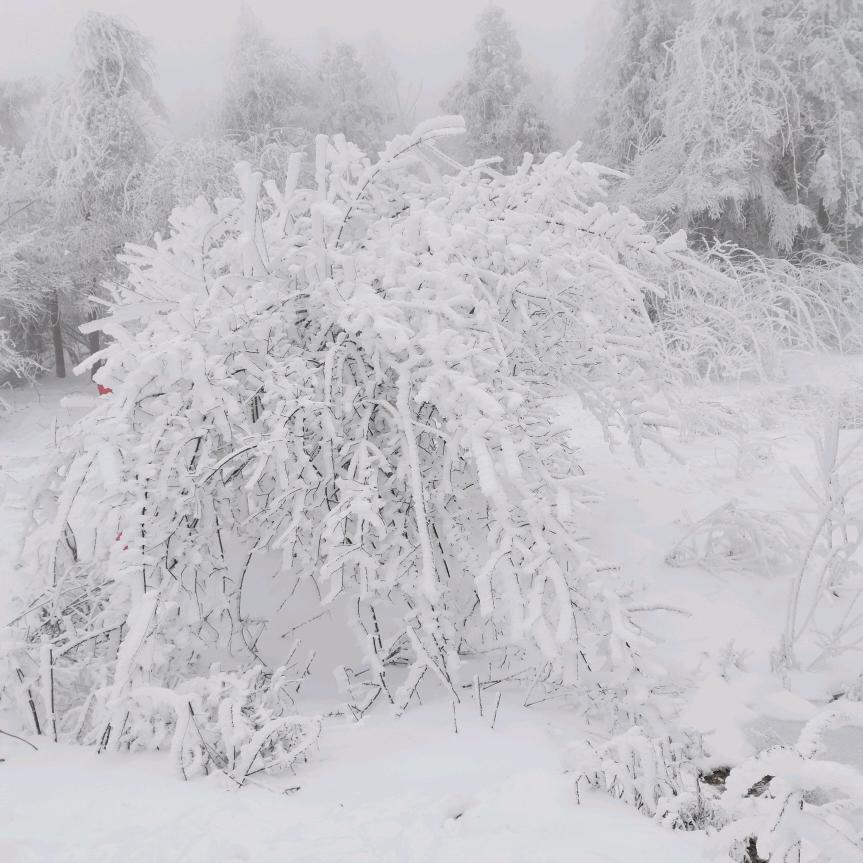 平平安安乂❤‿❤乂