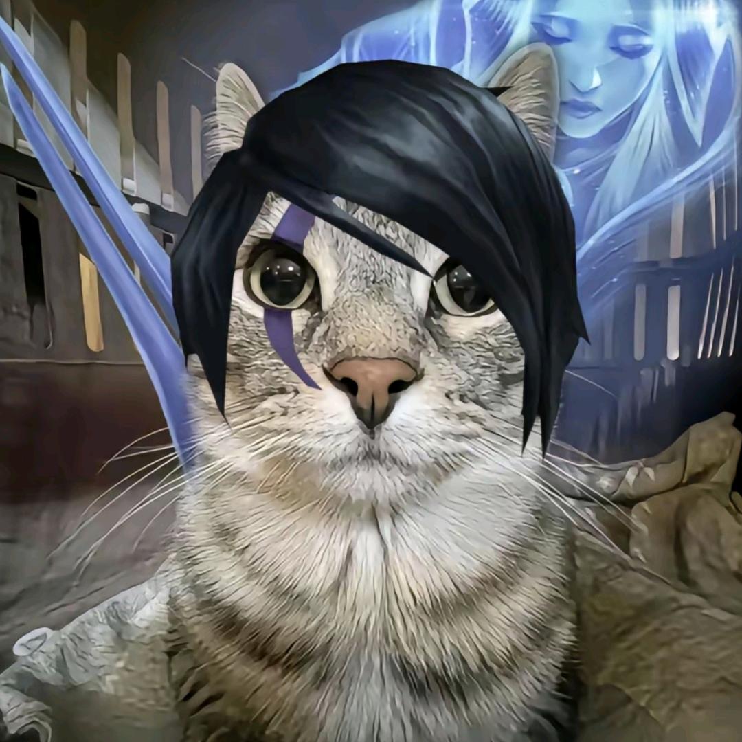 撸猫(厄斐琉斯)