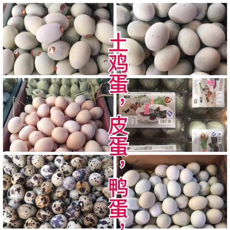 龙池土鸡蛋（小郭）