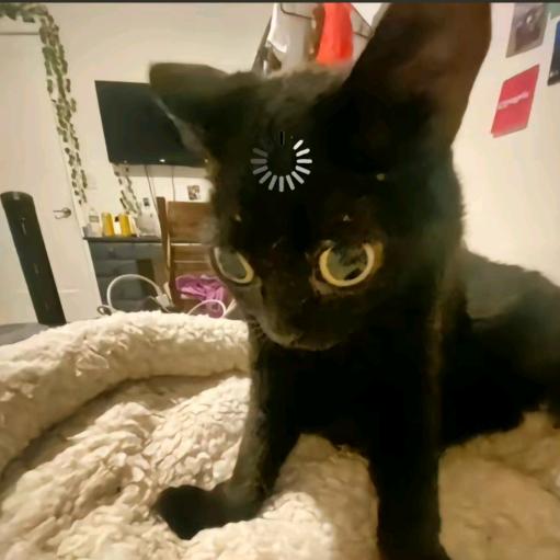 ⁺✞ʚ王一博重度依赖ɞ✟₊