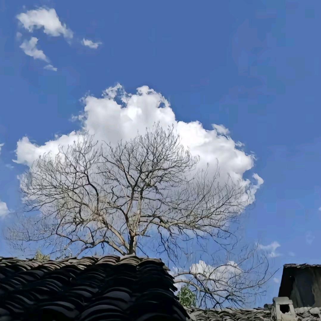 志如磐石 飞耀星河