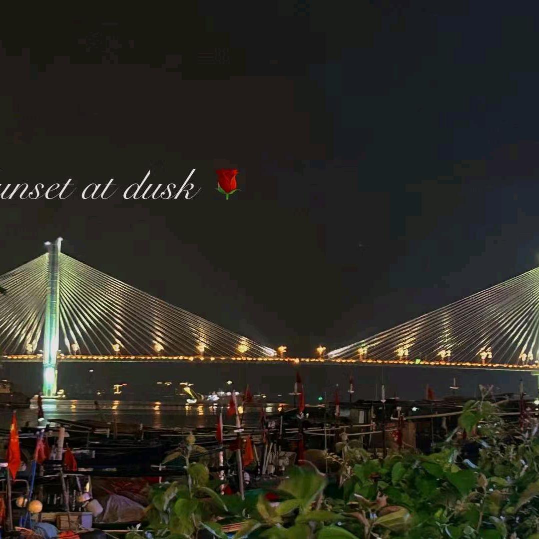 ༂༃林༒༒陈༃༃