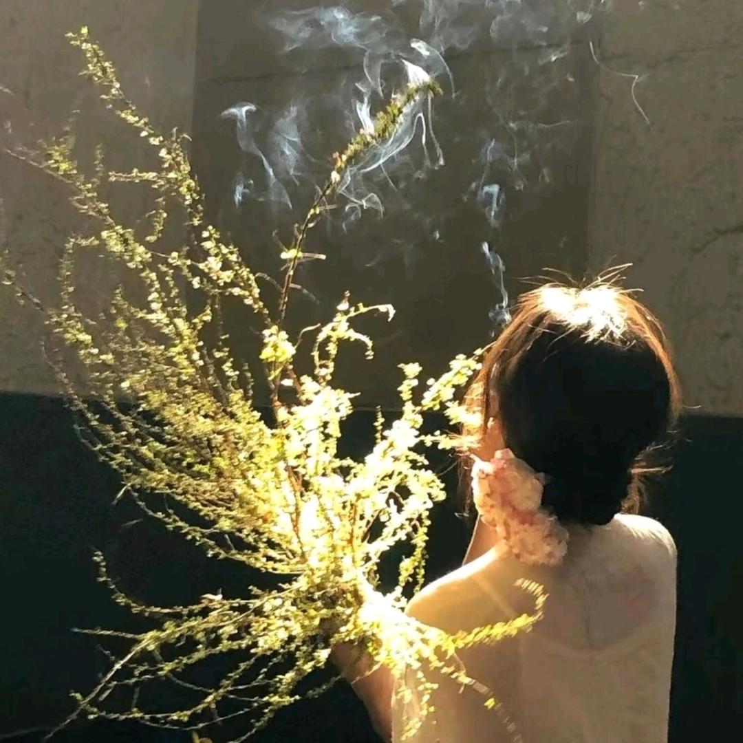牛油果🥑不胖