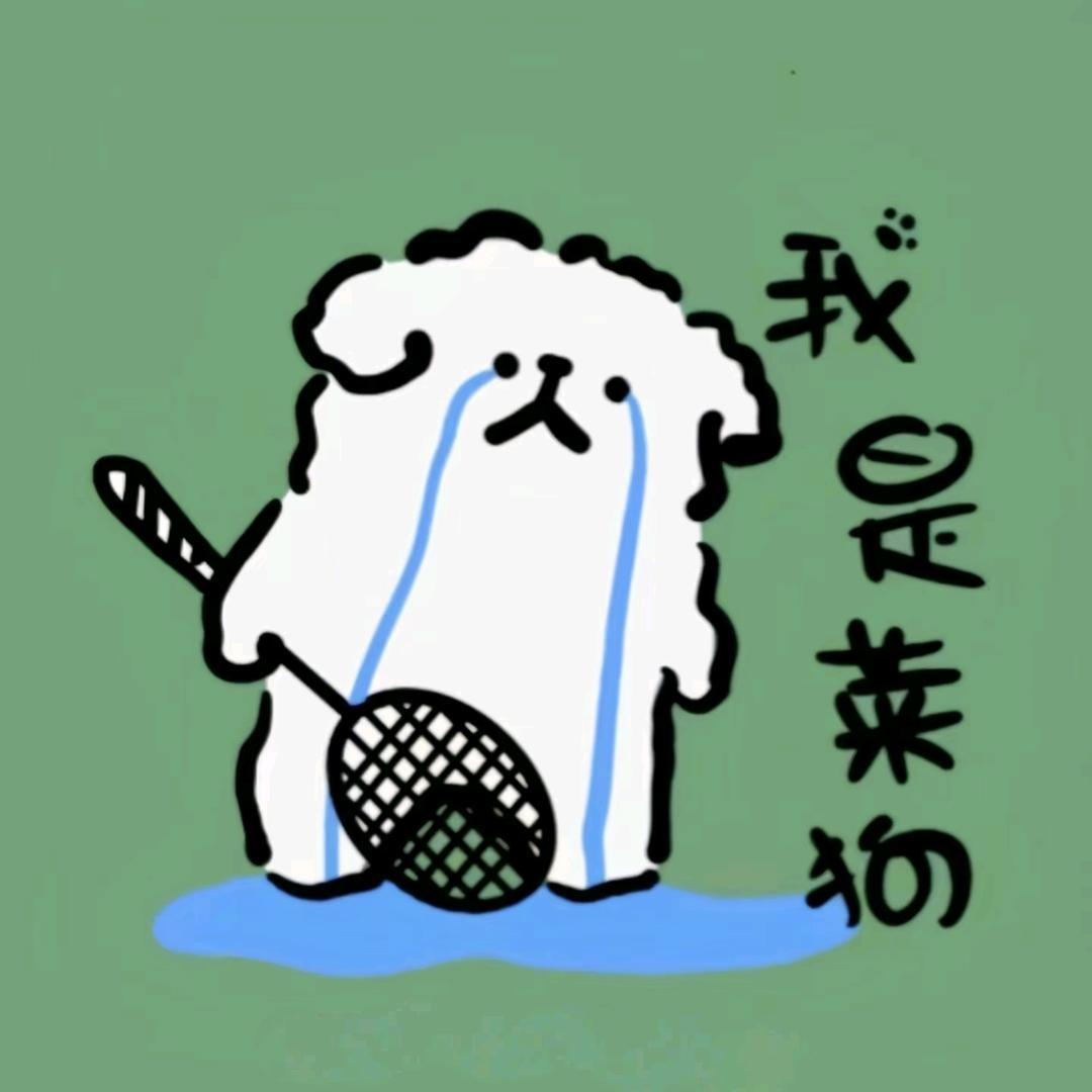 不会打球的叶