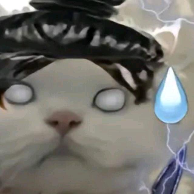 小皇