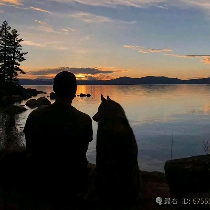 无法复制的犀牛