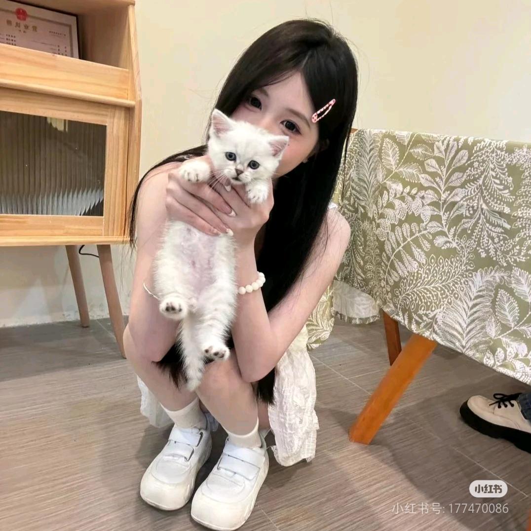 情娜