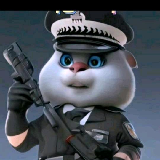 单身哥哥，黑猫队长。