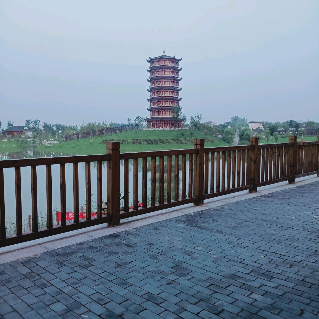 顺心而行