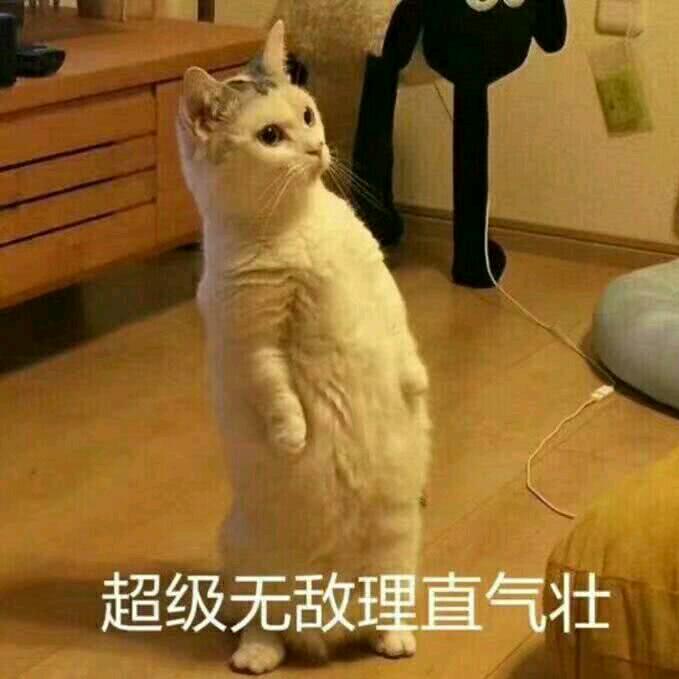 桃李春风一杯酒！