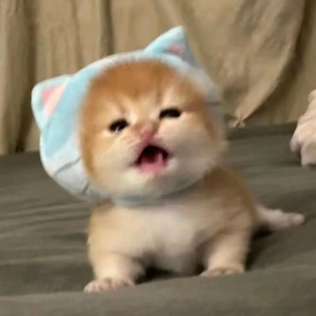 喝点中药