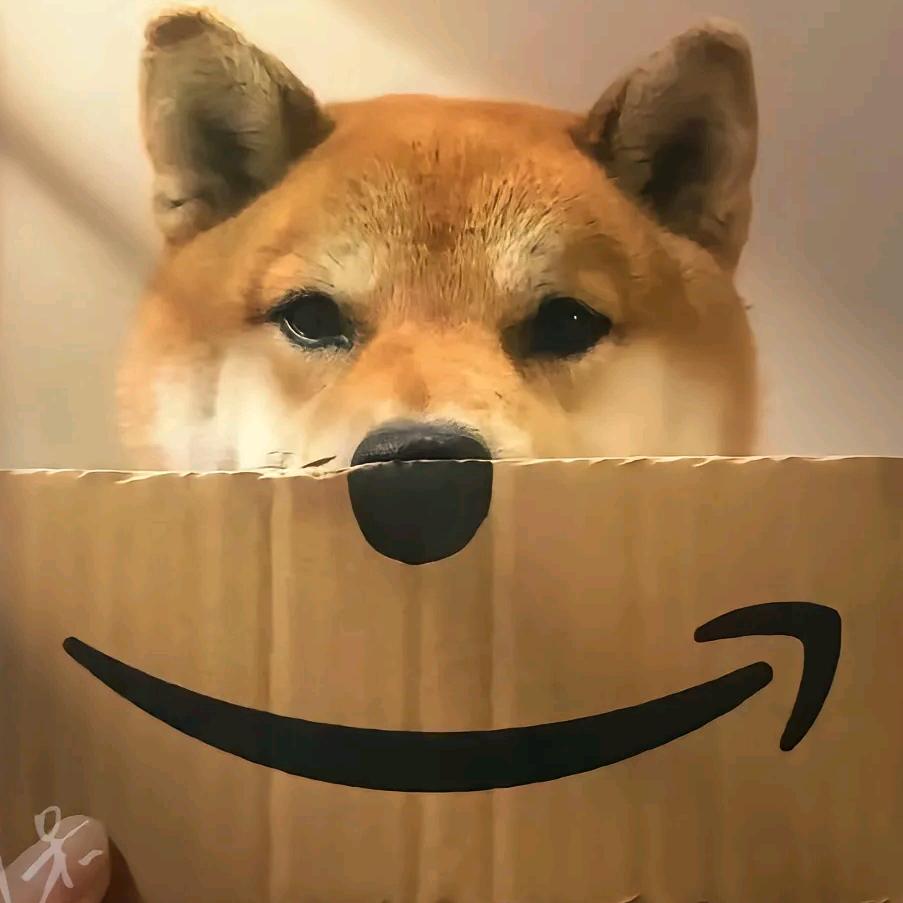 沐翊泽