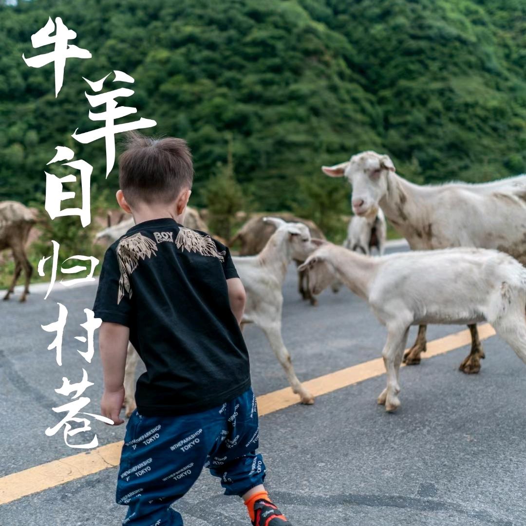 村上旅行