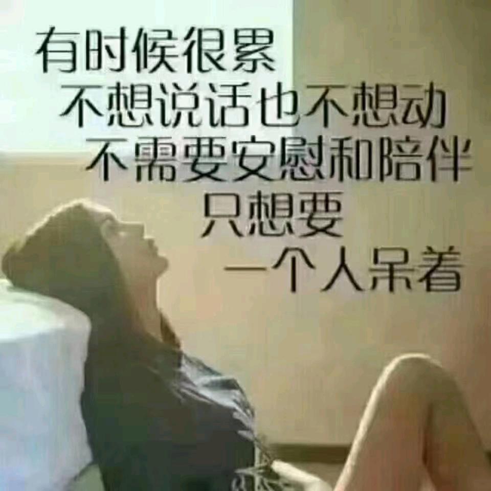 一樊风顺