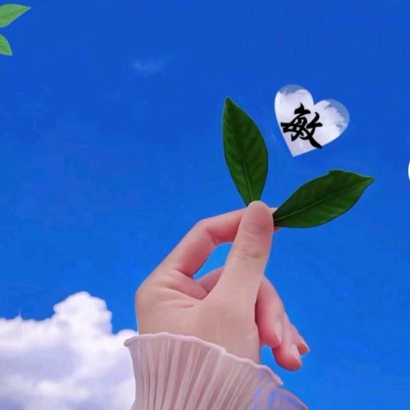 荧光(๑• . •๑