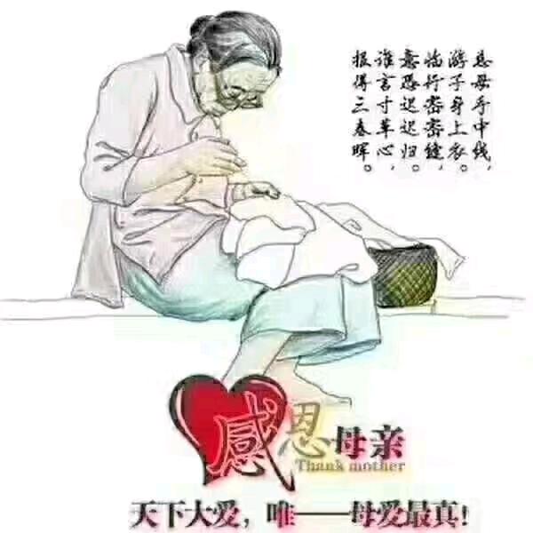 四海城老湖煎饼头像