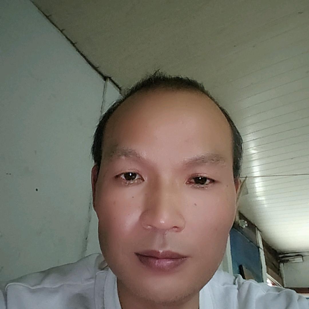 龙