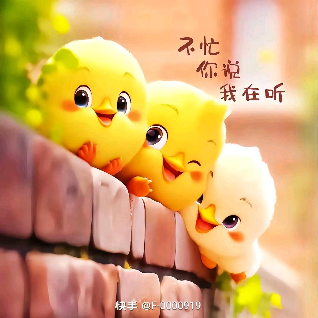 叫啥名好呢？