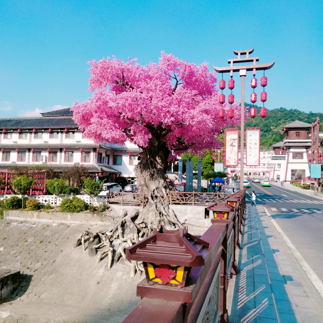 天高任我飞