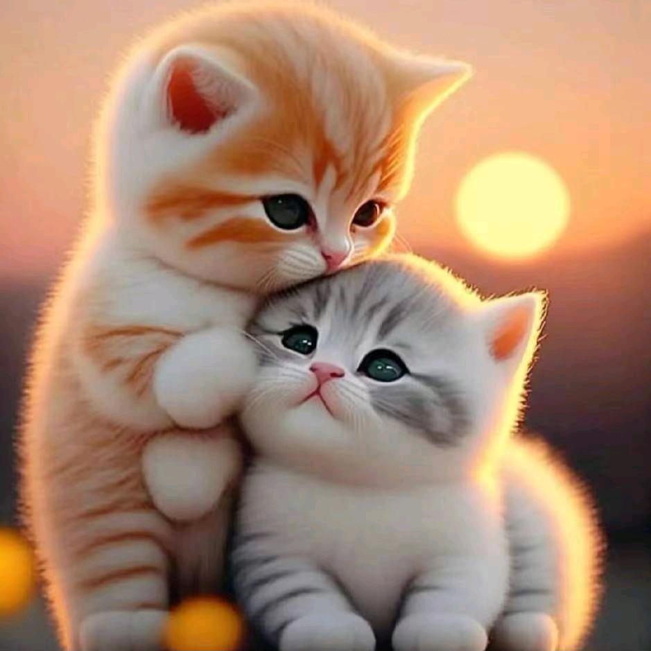 做个俗人贪财好色一身正气