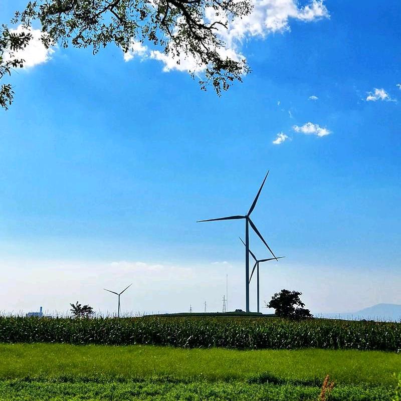 中国移动彭店乡营业厅