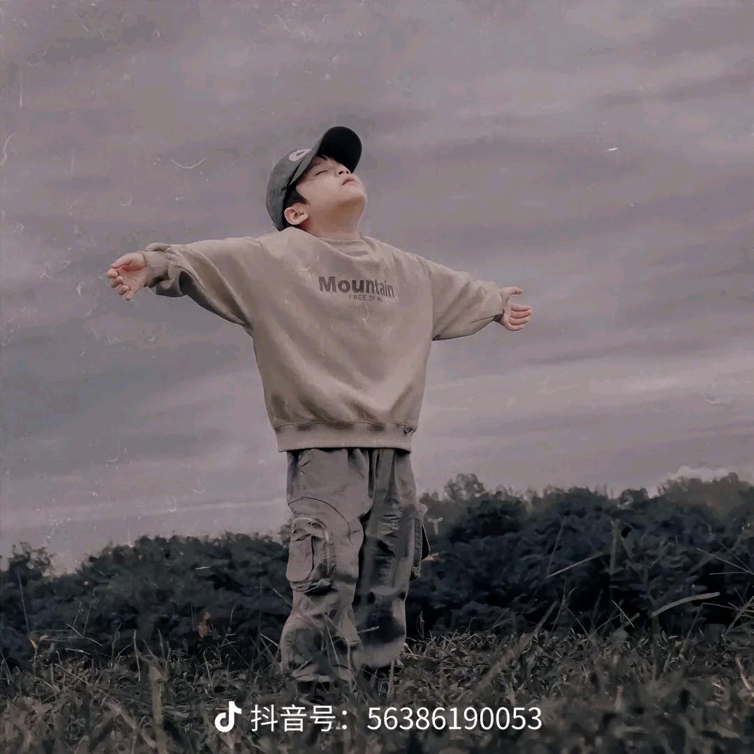 小丑鱼