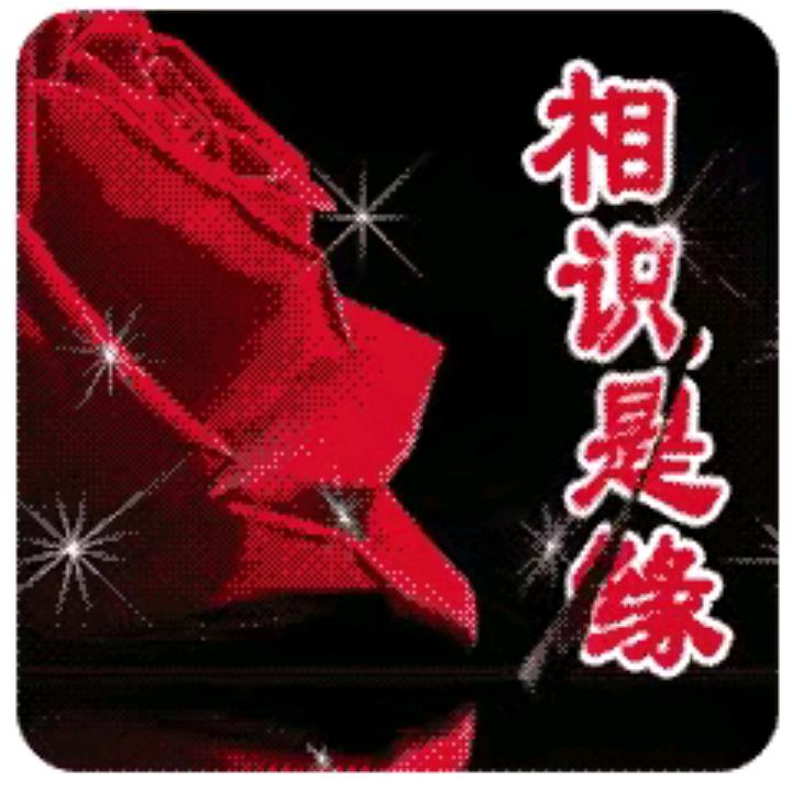 寒冰风雨兼程