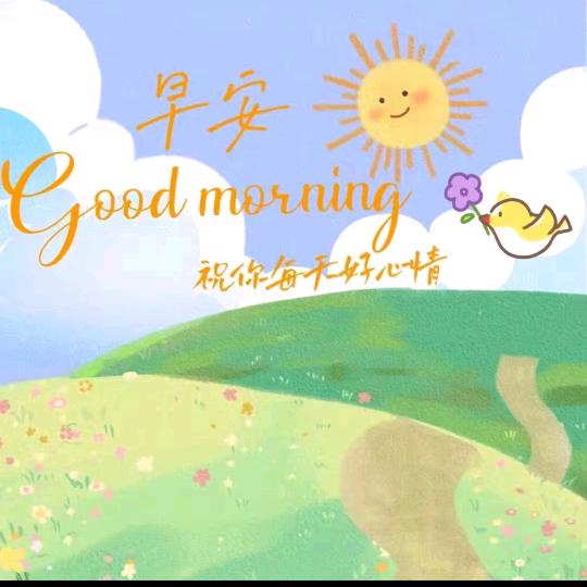 回关（无尝发资料哦）