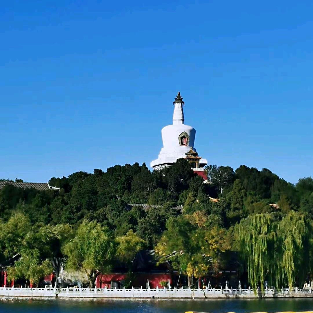 🇨🇳京城虎🇨🇳