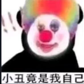 摸鱼的猫