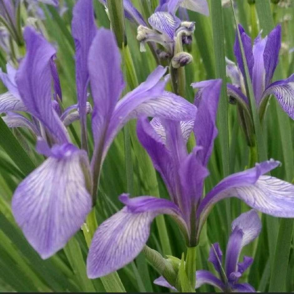 一帆*风☔️顺💐🍡