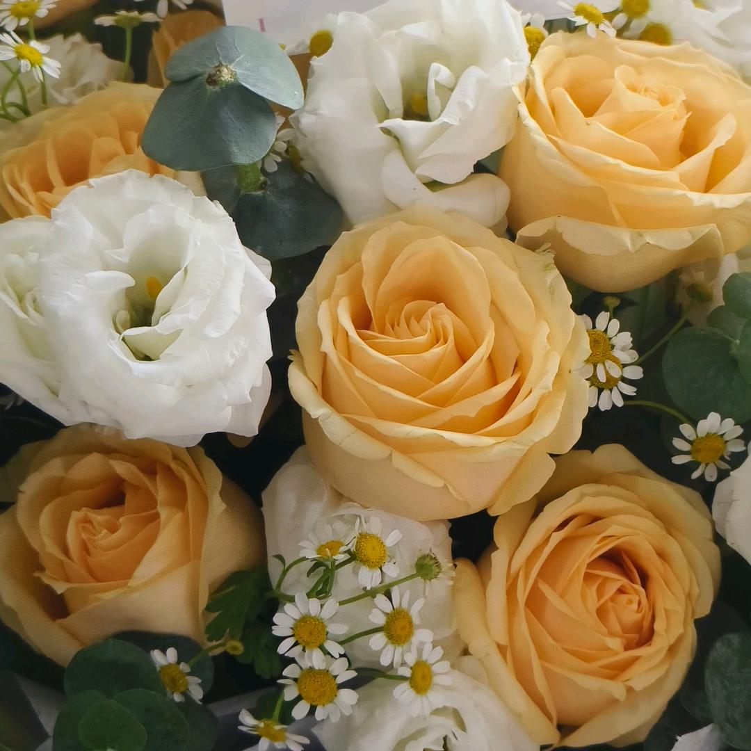 ꪋꪆ꫁⁵²⁰高꧔🎀᭄