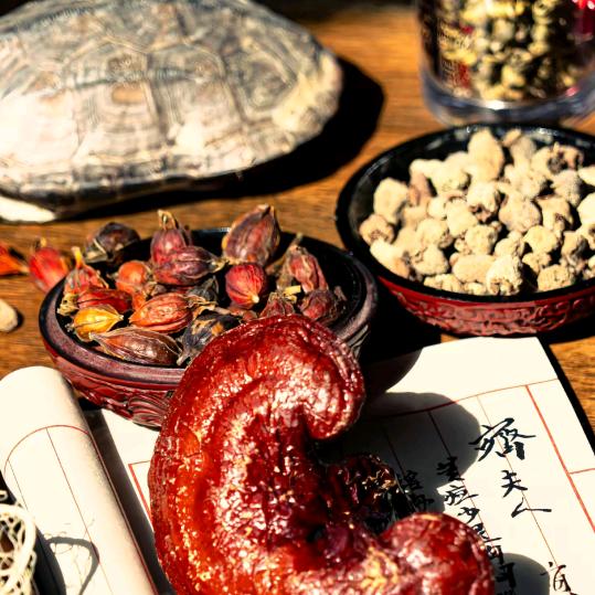 于老师说康养