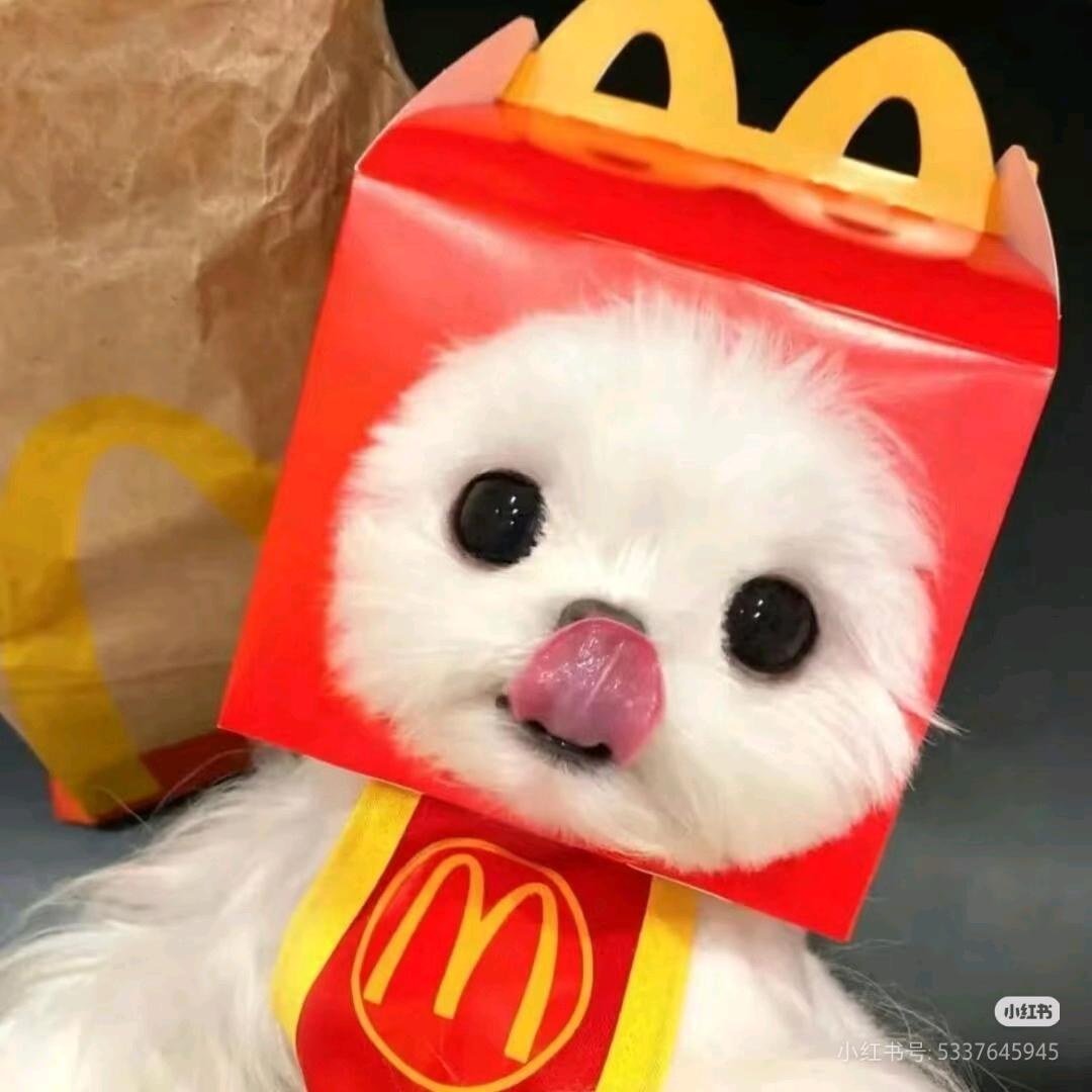 加拿大🐾krystal