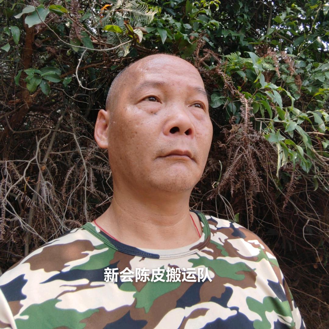 新会果农（云南普洱批发）