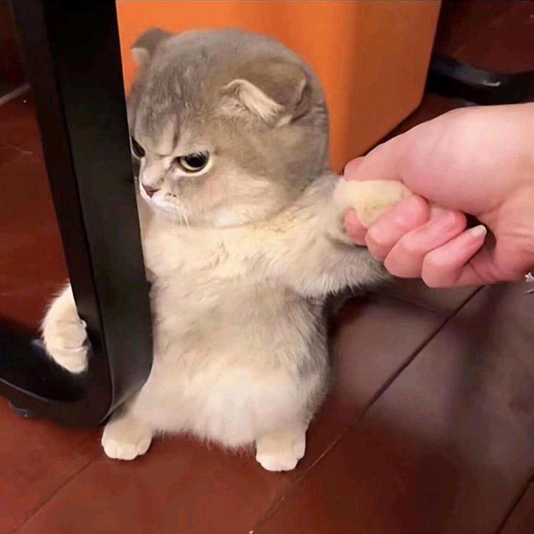 十二.