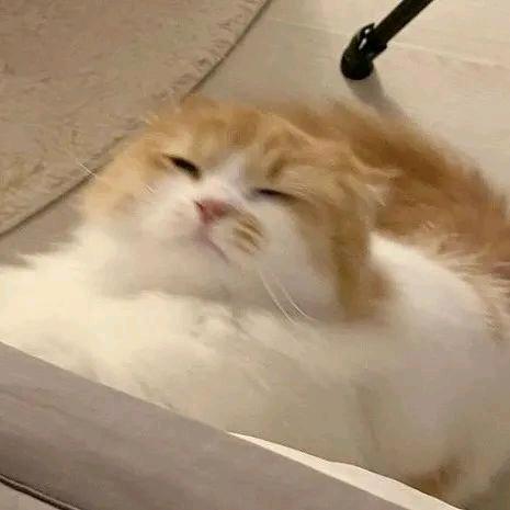 没u烦恼