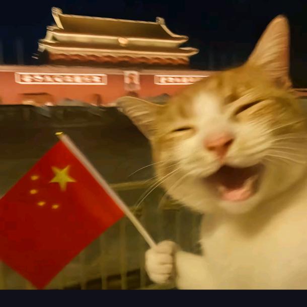 忆百