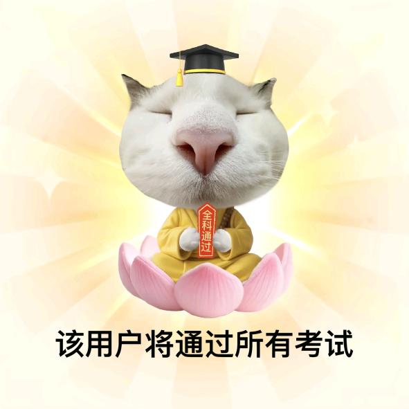 上岸（小人退散版）头像