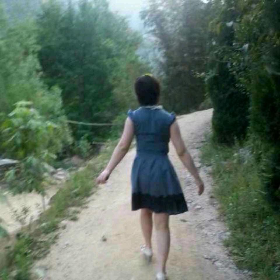 阳光下的蝴蝶