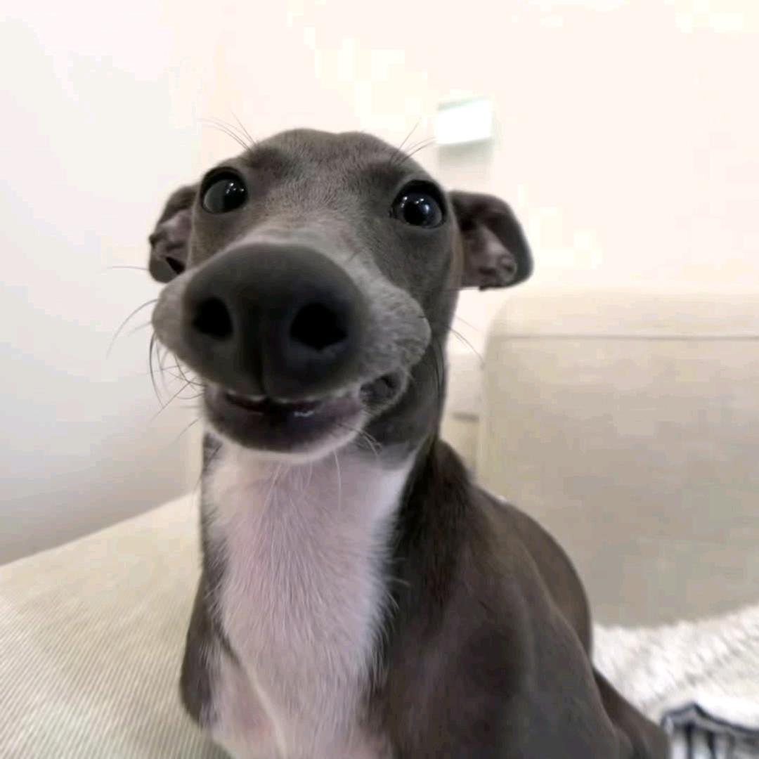 10.