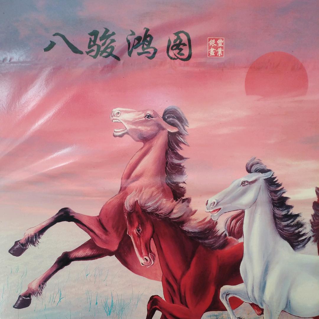专业霸气选手