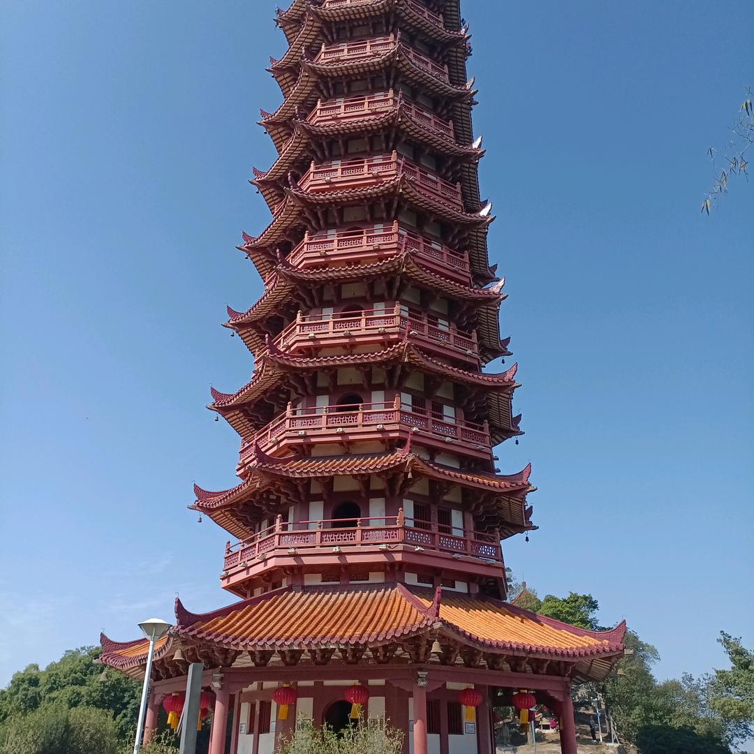 春暖花开🌸